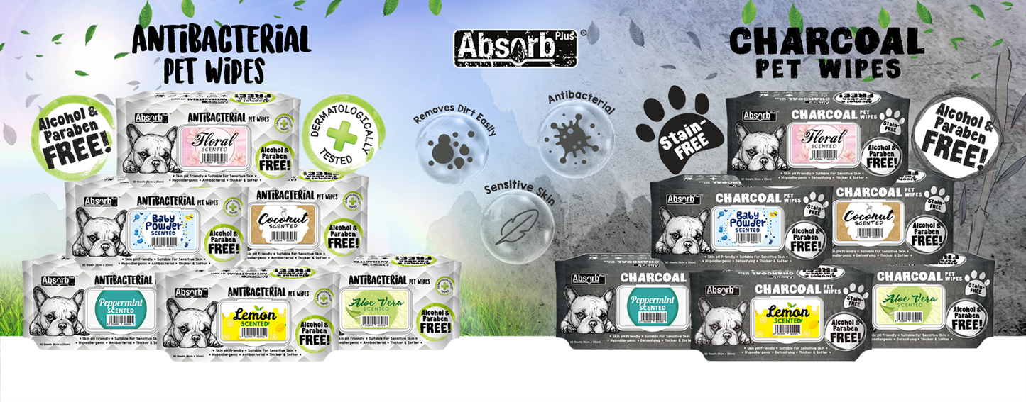 Absorb Plus Charcoal Pet Wipes Aloe Vera