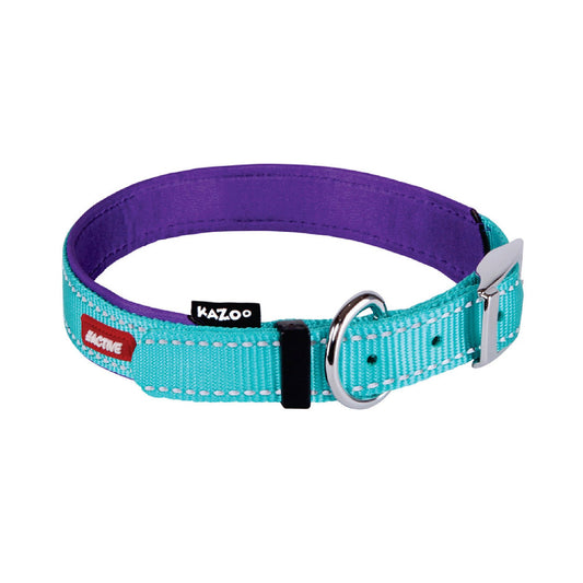 Kazoo Active Buckle Dog Collar Aqua/Purple