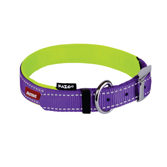 Kazoo Active Buckle Dog Collar Purple/Lime