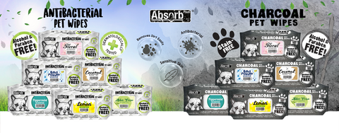 Absorb Plus Charcoal Pet Wipes Aloe Vera