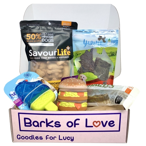 Monthly Subscription Box - Little Dogs