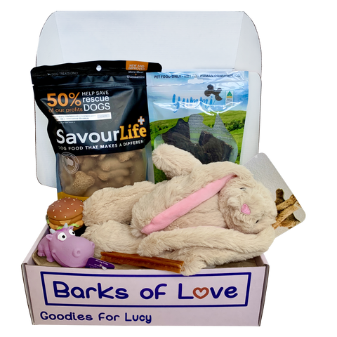 Monthly Subscription Box - Little Dogs